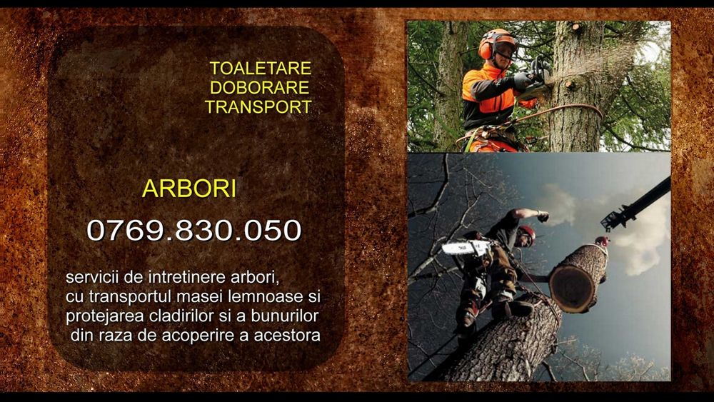 Alpinisti utilitari