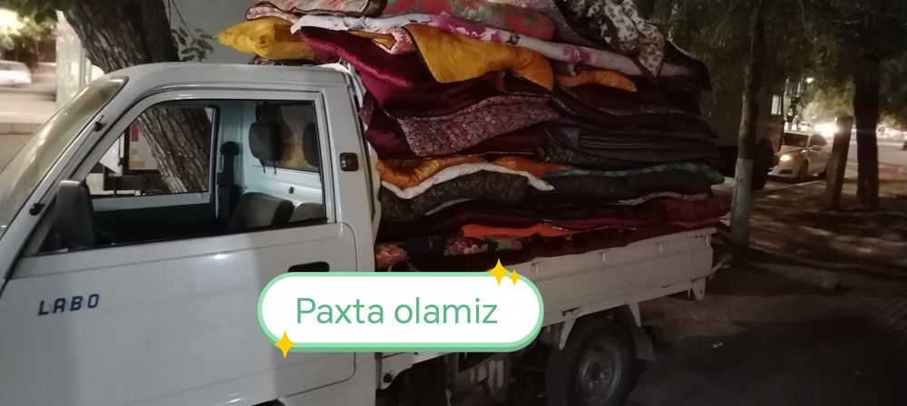 Paxta korpacha Metalom maklatura oqqoĝoz paxta salafan gazeta va boshq