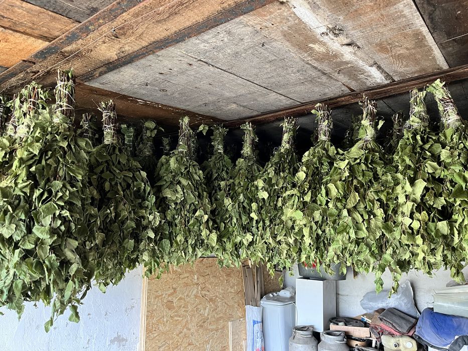 Березовые веники