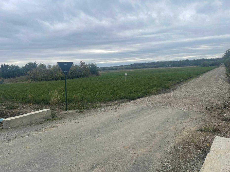 Teren intravilan 3.200 mp – Coșereni, Ialomița – deschidere la DJ201