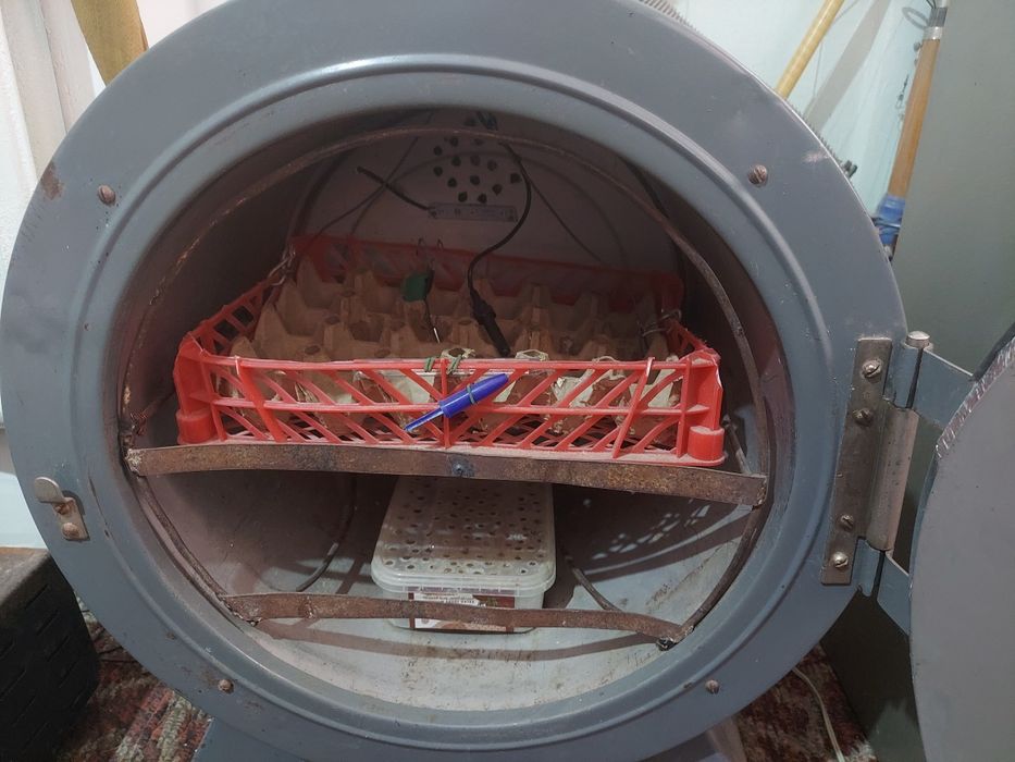 Продаётся инкубатор