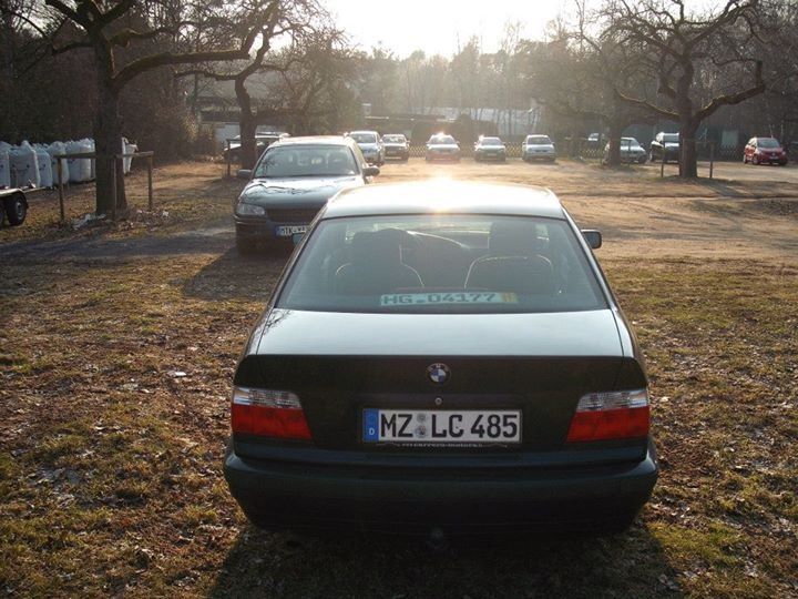 Bara spate din Dezmembrari BMW E36 2.0 Vanos
