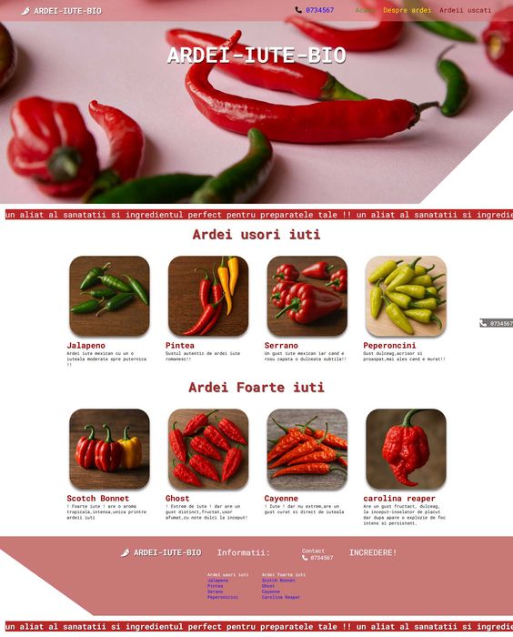 Creare și administrare website