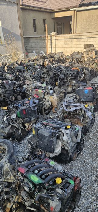 Маторы из европы