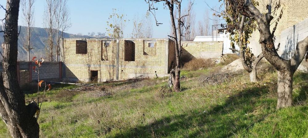 Андижан Храбек 6 сотих