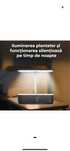 Ghiveci Inteligent,  hidrofonic de Crestere Avansat