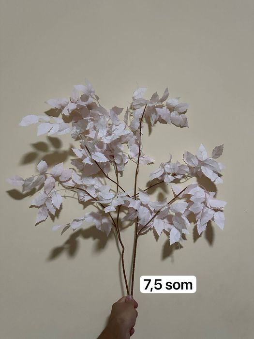 Ofarmlenia777777