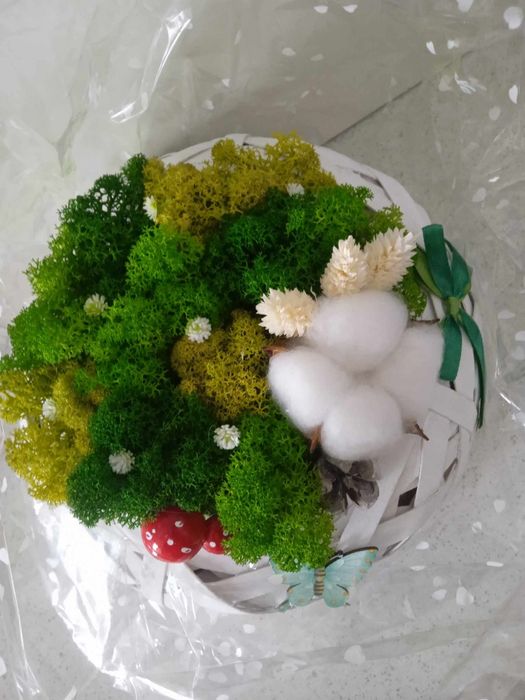 Geaca de iarna pentru dama