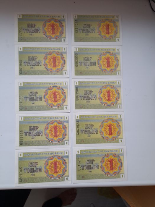 Один тиын водомерки