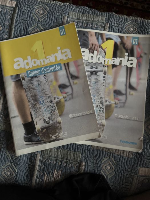 Курс французского языка Adomania 1
