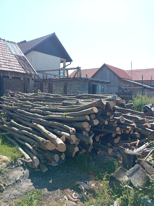 Vând lemne de pașune 600 lei pe căruță