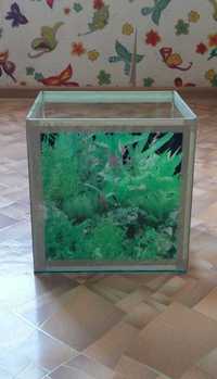 Продам компактный аквариум