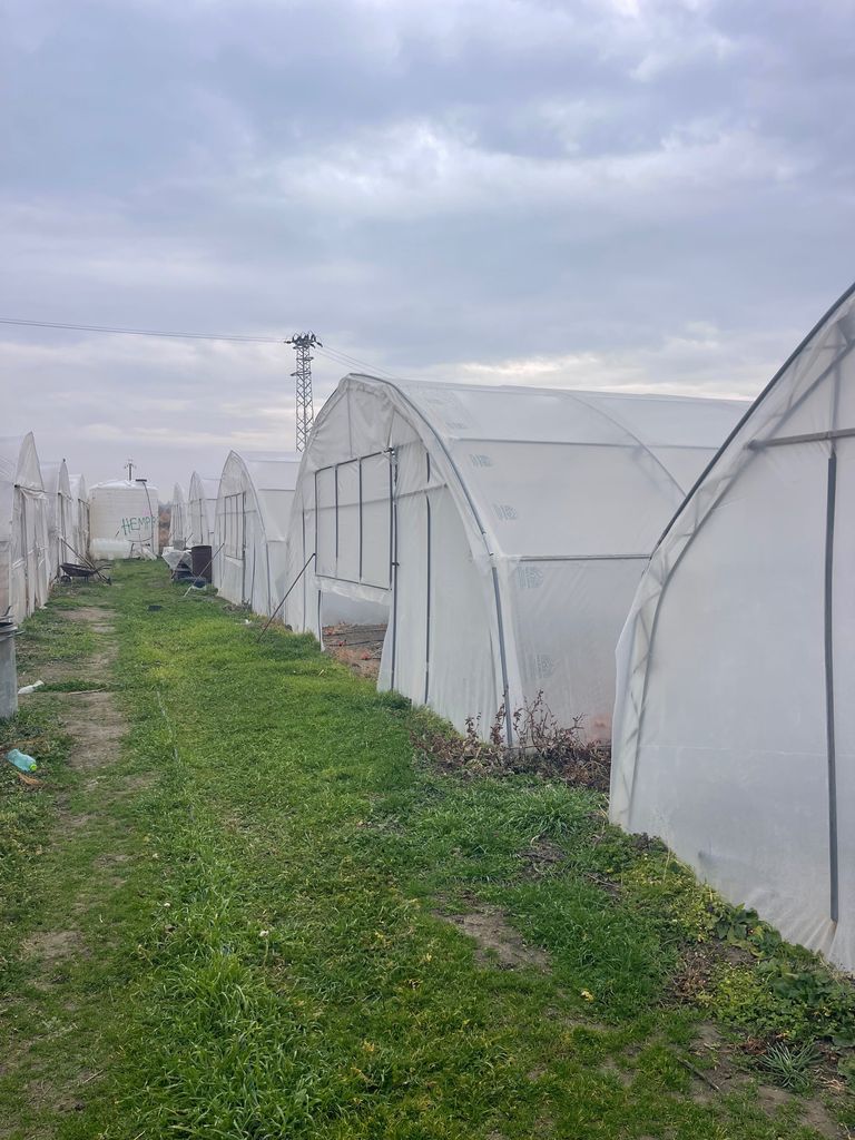 Дава се под наем Земеделски имот в Варна, Център -  кв.м за 51 € - Снимка #4
