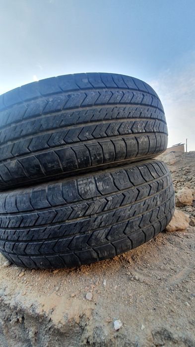 14 nexsiya balon sotiladi