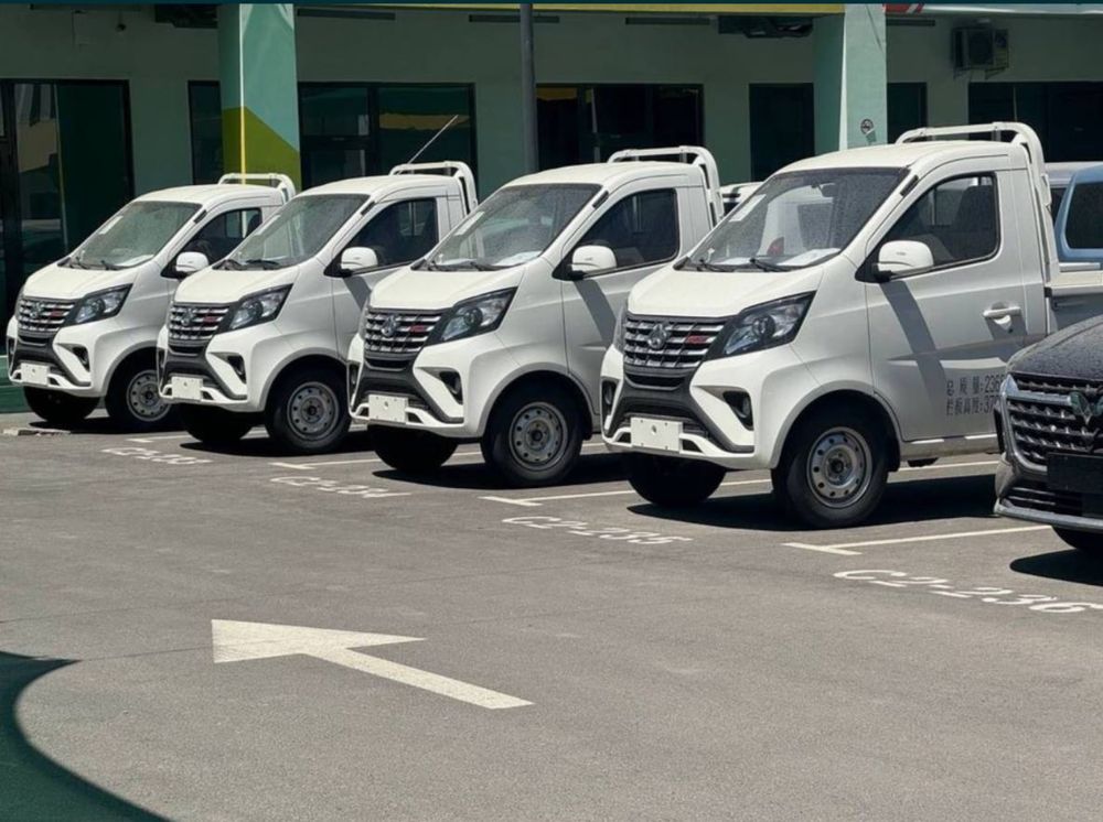 Changan Star Plus 2024