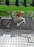 cursiera carbon BMC racemachine RM01 7kg