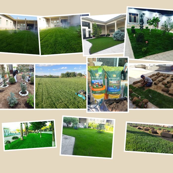 Archa kesish. Gazon ekish