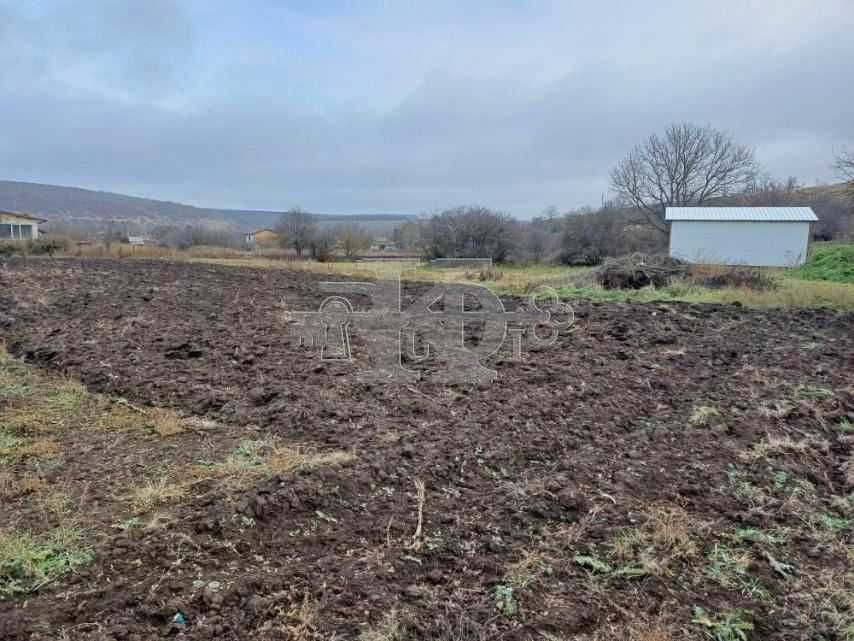 Продава се Парцел в с. Долина, Област Добрич - 4600 кв.м за 6 €/кв.м - Снимка #2