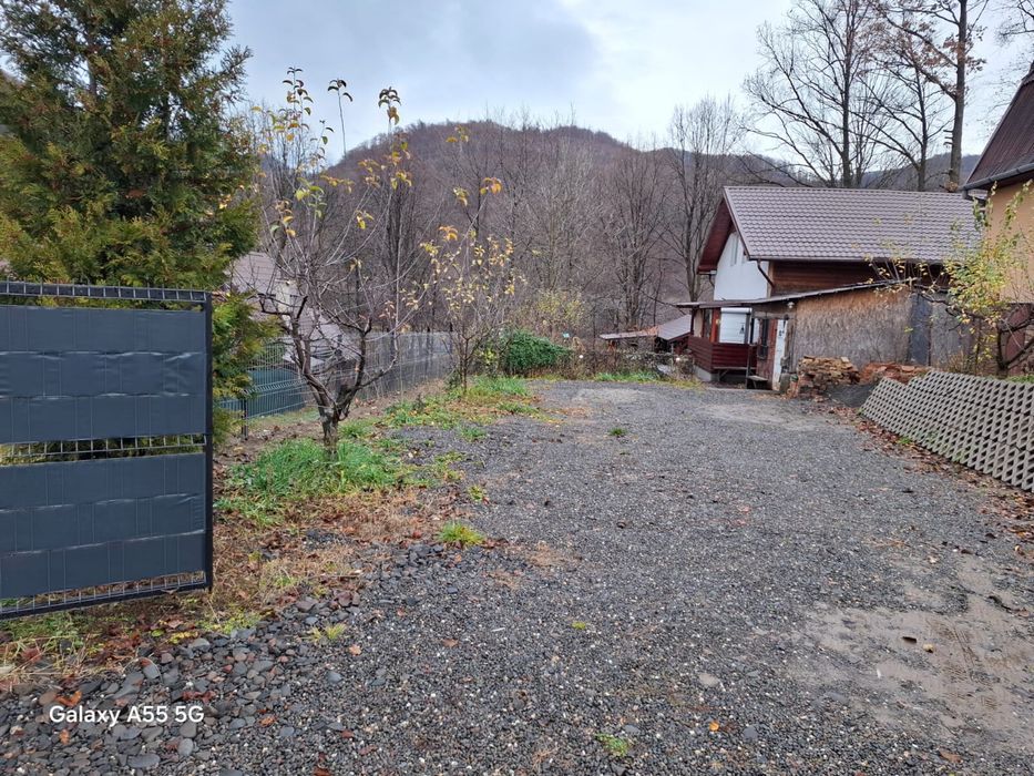 Cabana Borzia/Rastolita Mures (liber craciun)