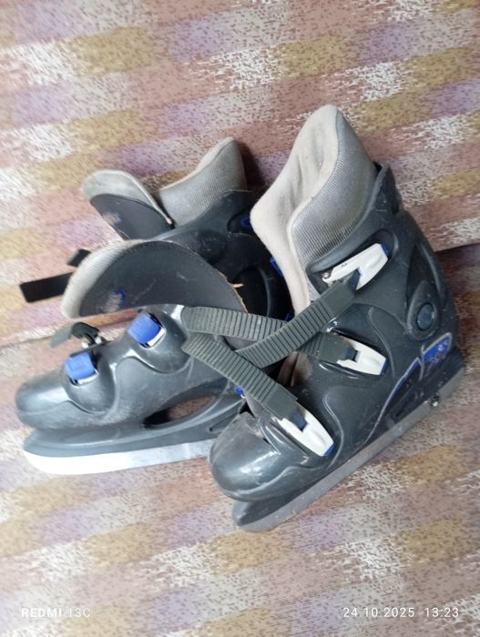 Patine    gheata