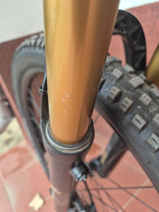 Canyon Spectral 10.0  29 er