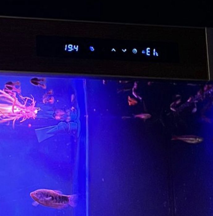 Cleair Aquatics akvariumlari uchun xizmat