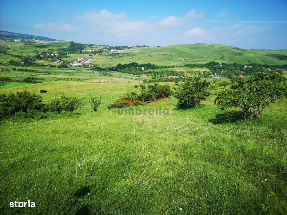 Teren de vanzare intravilan in Cluj-Napoca  Strada Soporului 1.755 mp