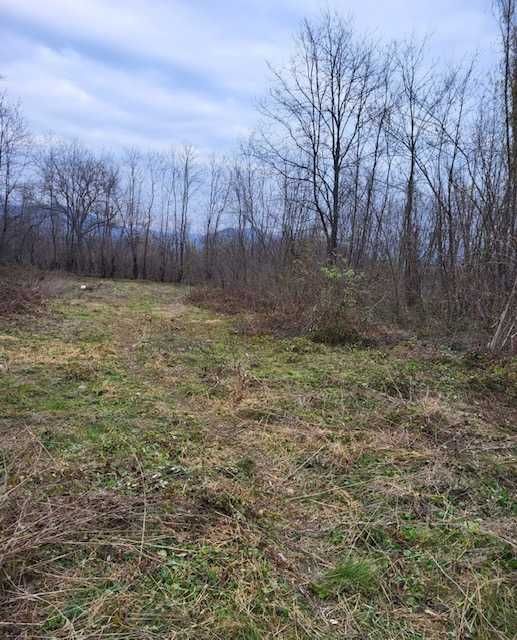 Teren intravilan 2.200 mp Unguriu/Buzau