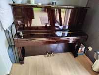 Pianina japoneza Yako
