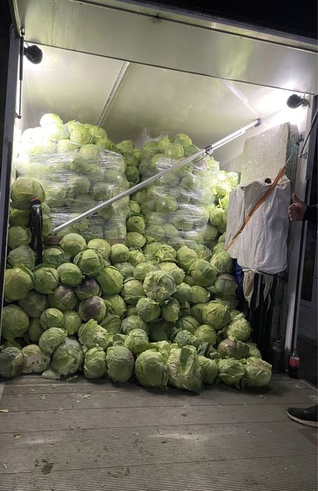 Българско зеле кьосе