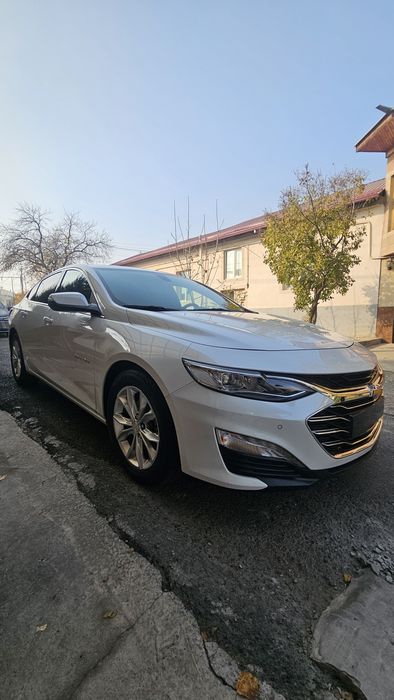 Malibu 2 Premier Oq Jemchug