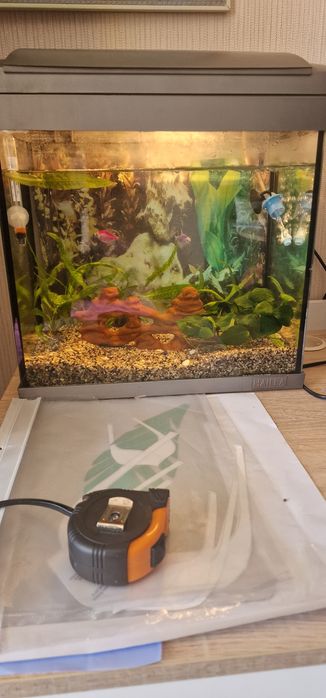 Малък,оборудван аквариум