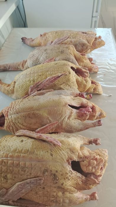 Мясо индоутки,  үйрек