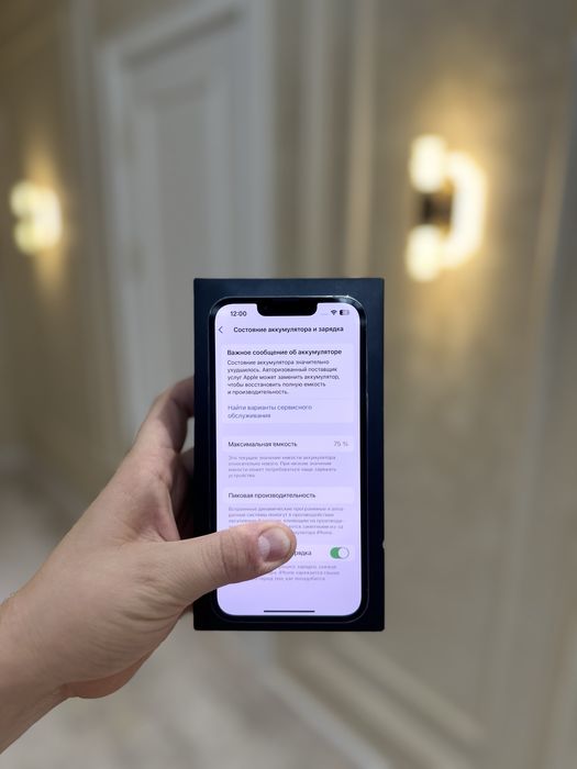 Iphone 13 pro ideal 10/10
