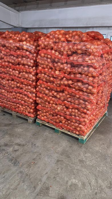 Ceapă si Morcov de vanzare