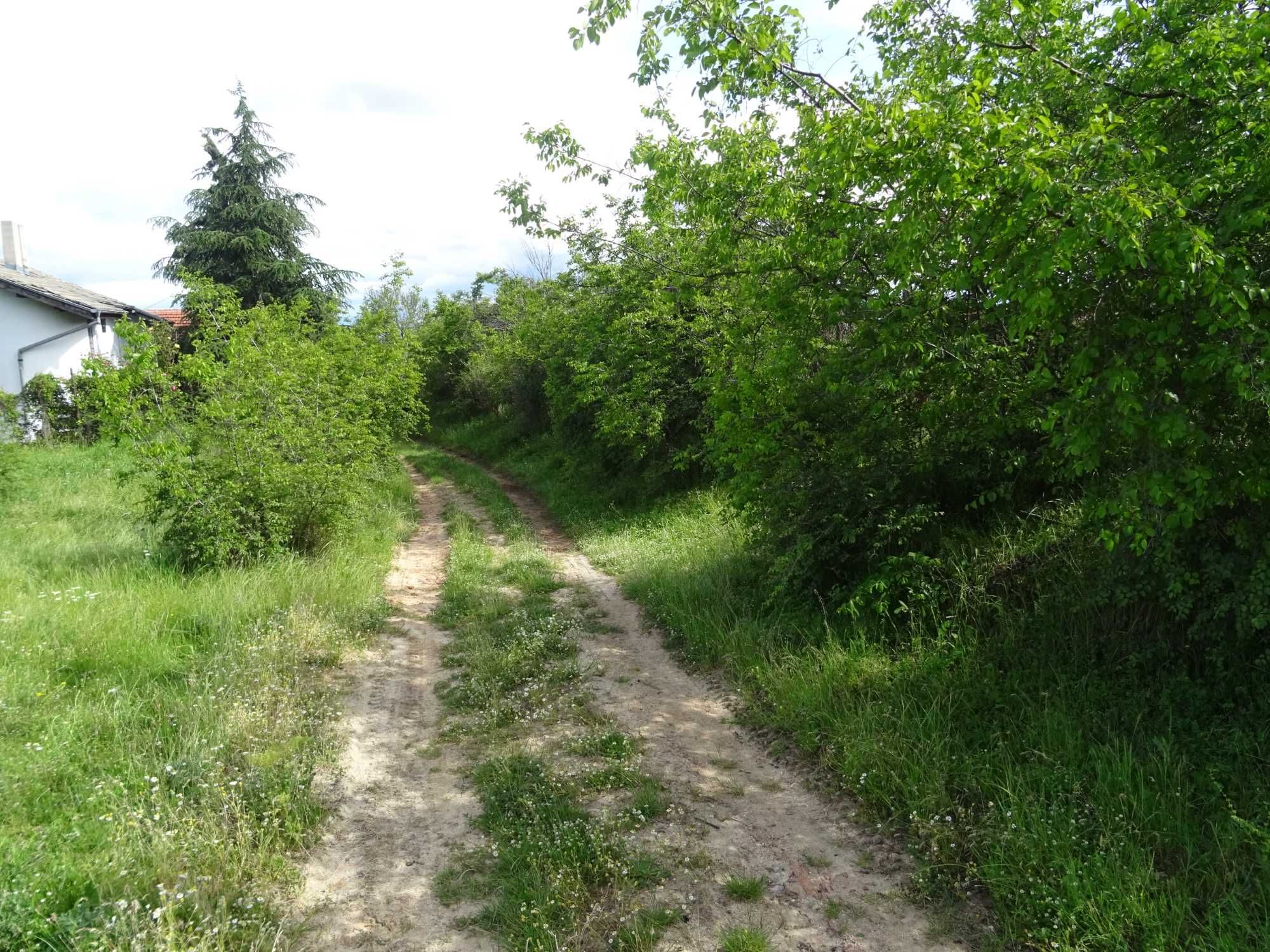 Имот в село Мътеница