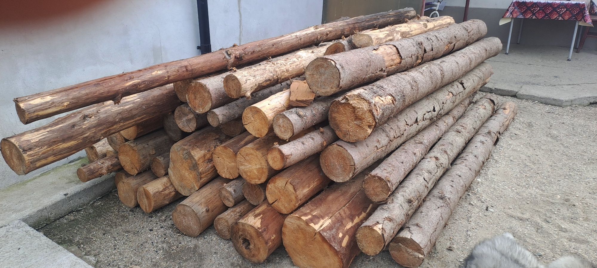 Bile de brad pentru construcții foisoare/terase