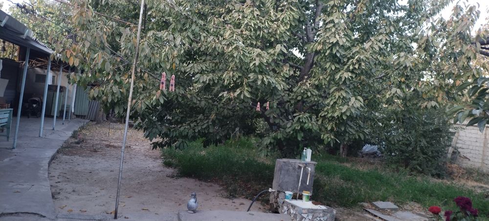 10 сотик Ҳовли сотилади