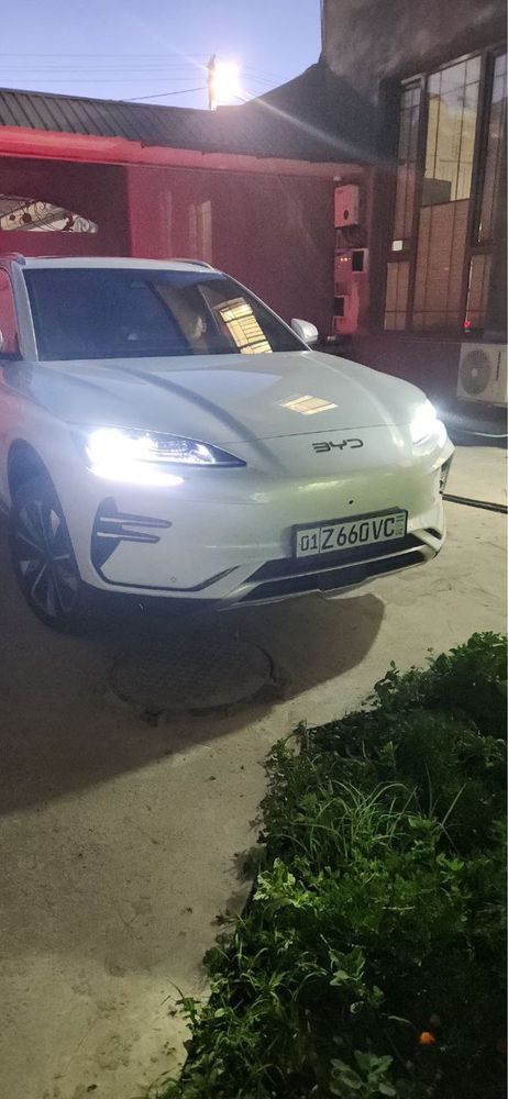 Byd chimpion 2024 yil arenda