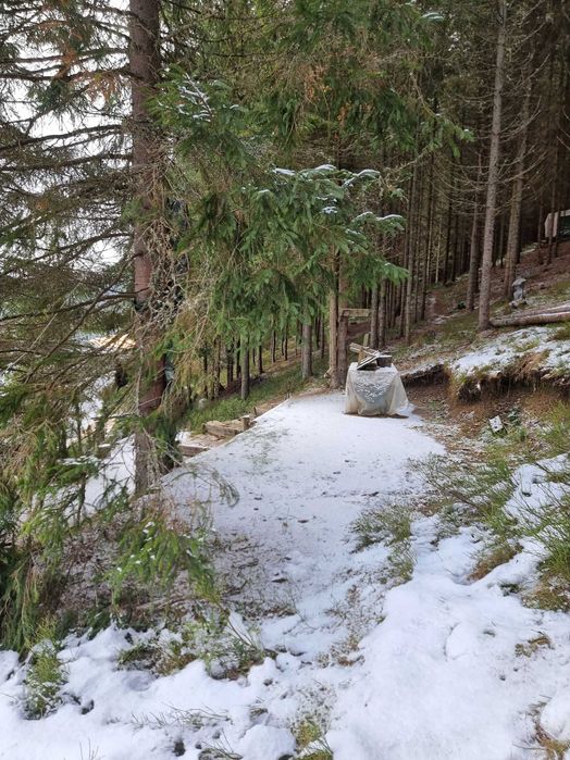 Teren intravilan Belis