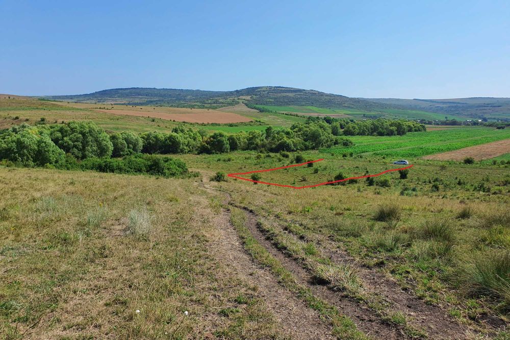 Teren extravilan ideal în satul Ciumăfaia, comuna Borșa, județul Cluj.