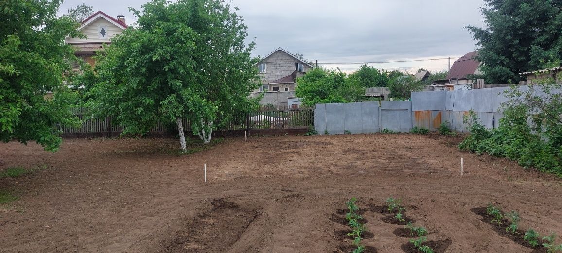 Продам дои в садоводстве Иртыш