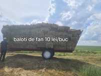 Vând baloti de fan