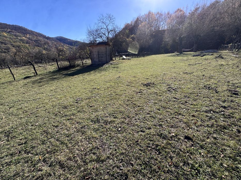 Teren intravilan Bradulet (Ungureni) , imprejmuit, langa padure