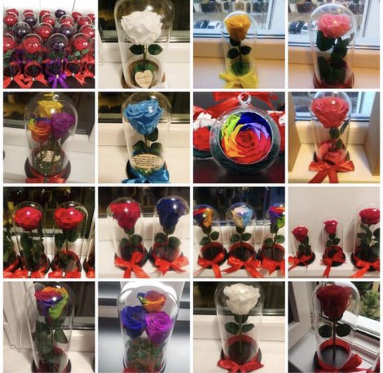 Trandafiri naturali criogenati in cupola diferite culori