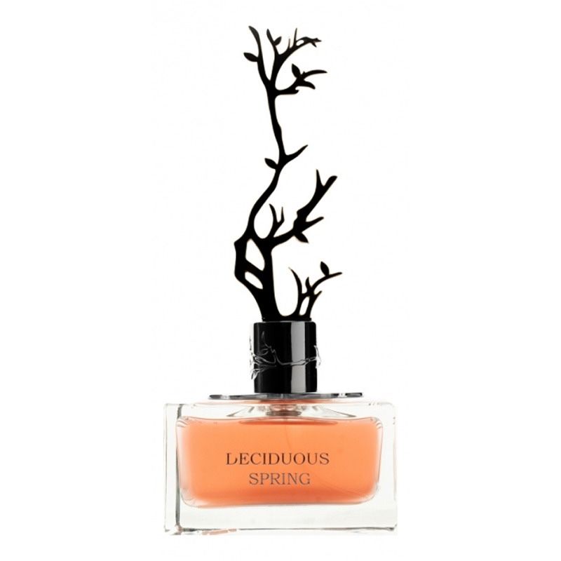 Deciduous Spring Aurora Scents 100мл Dubai для женщин