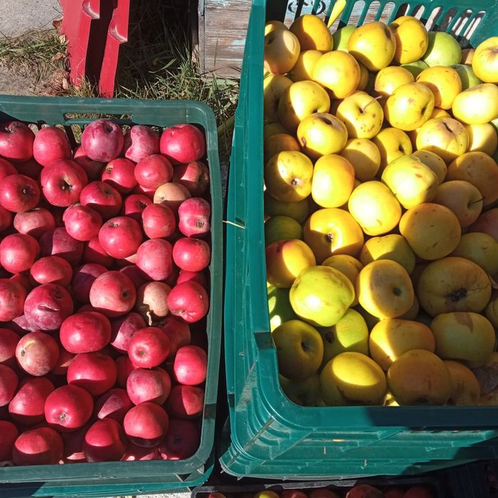 Vand mere nestropite/BIO