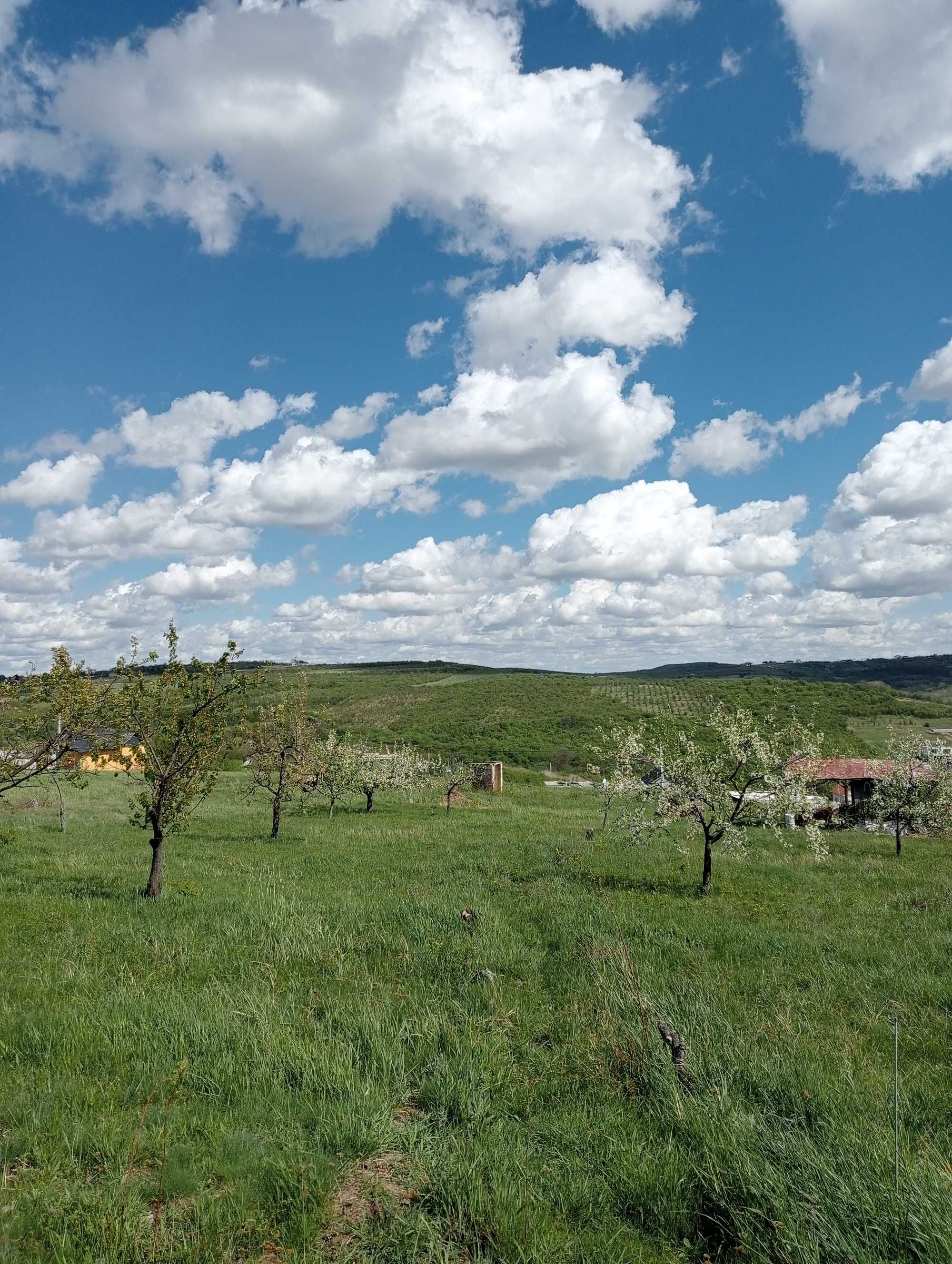 Vând teren intravilan  cu panorama visa vid de hanul pescarilor