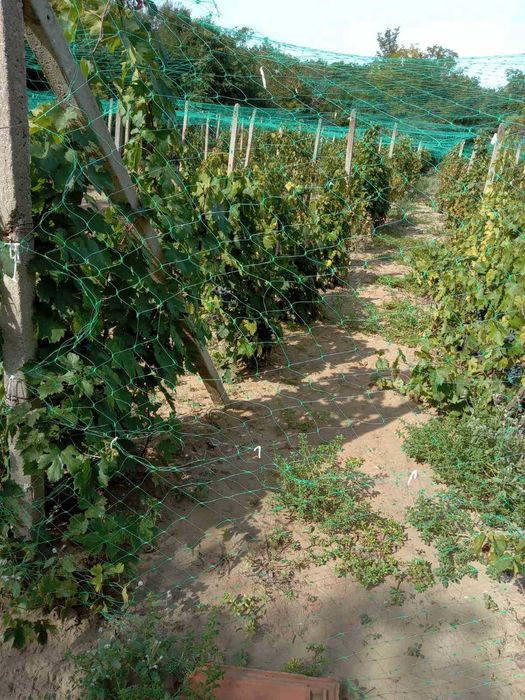 Продава се Къща в с. Станево, Област Монтана - 100 кв.м за 77 €/кв.м - Снимка #9