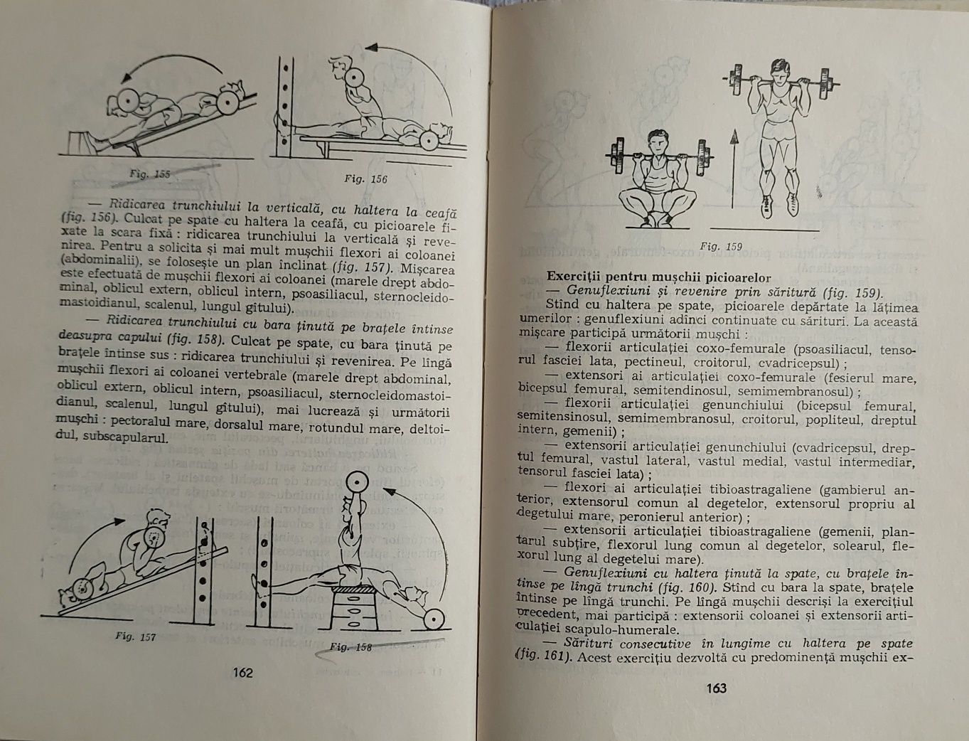 Haltere și culturism / Lazăr  Baroga